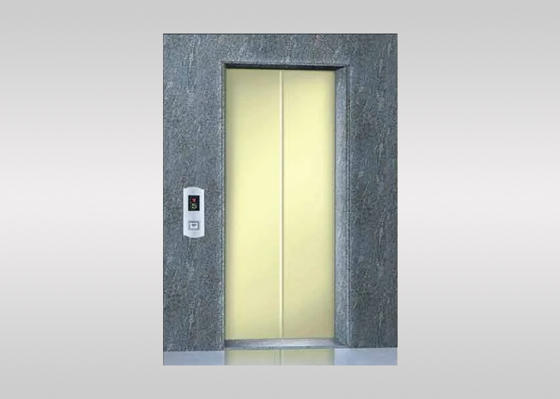 SS Automatic Door Elevators